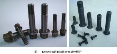 圖1鈦合金螺栓 圖1鈦合金螺栓